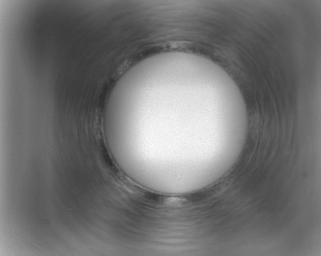 X0000070360222200606090808