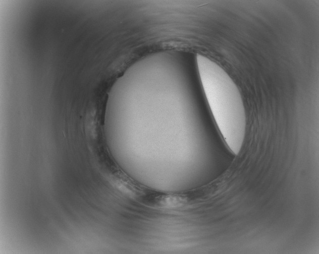 X0000070360223200606090808