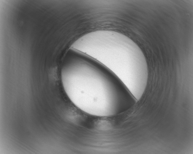 X0000070360224200606090808