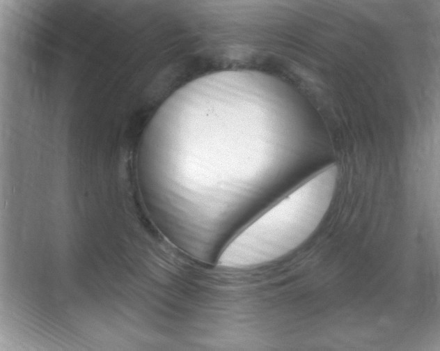 X0000070360225200606090808