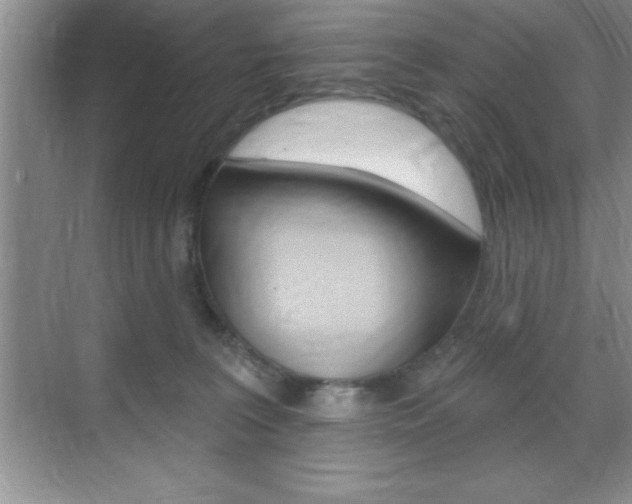 X0000070360227200606090808