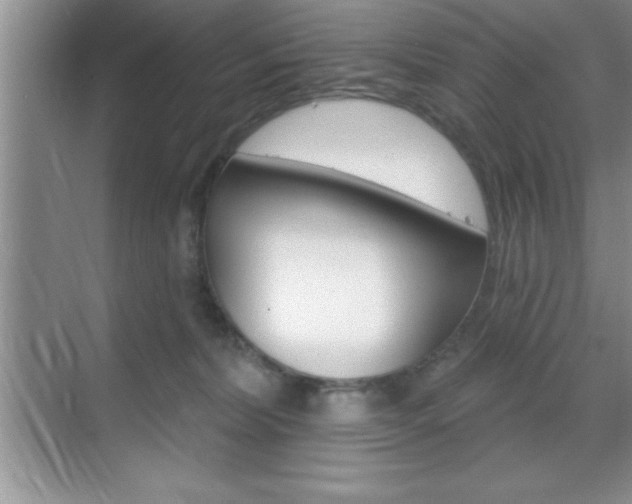 X0000070360228200606090808