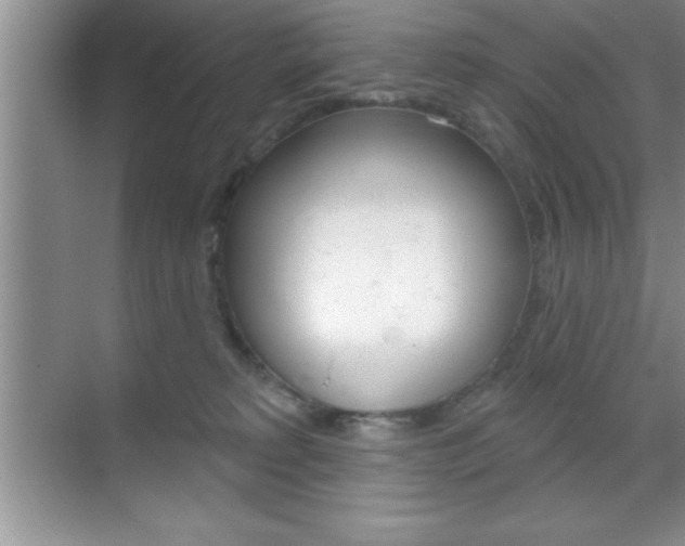 X0000070360229200606090808