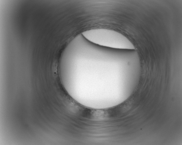 X0000070360230200606090808