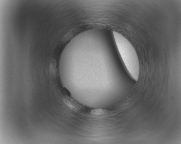 X0000070360231200606090808