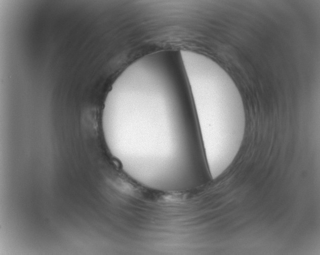 X0000070360232200606090808