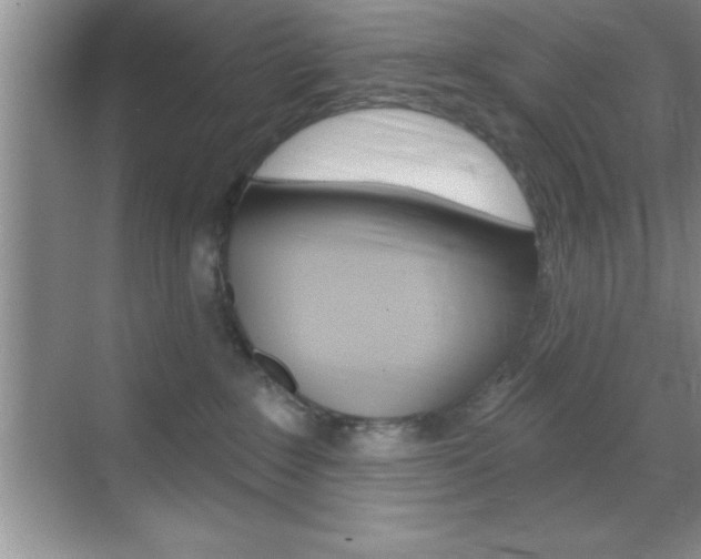 X0000070360235200606090808