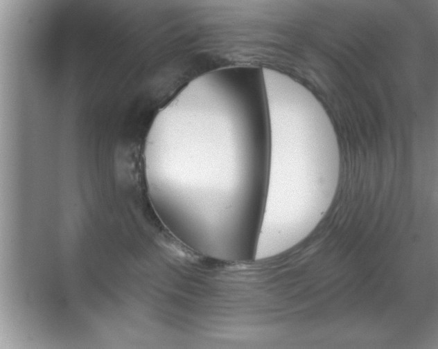 X0000070360237200606090808