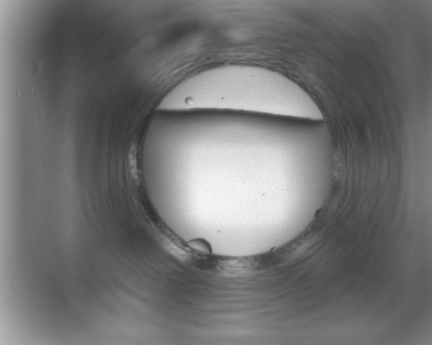 X0000070360238200606090808