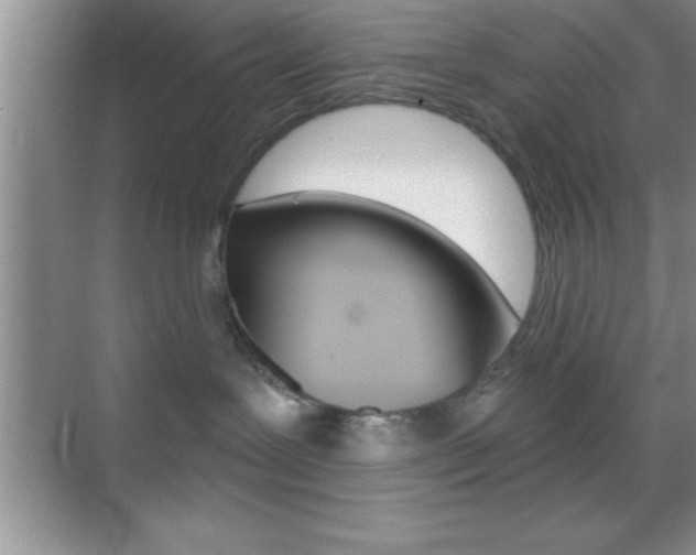 X0000070360239200606090808