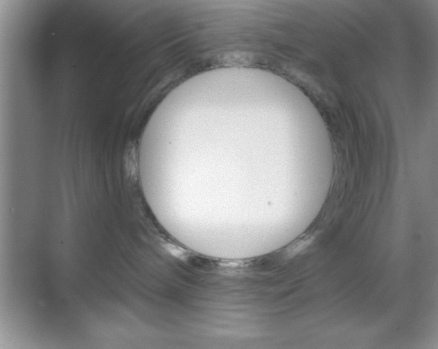 X0000070360240200606090808