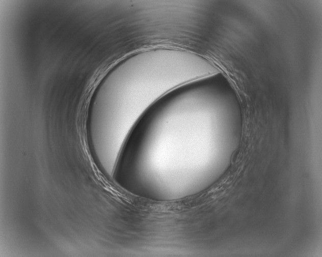 X0000070360241200606090807