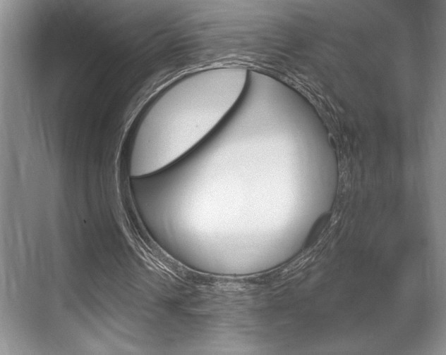 X0000070360242200606090807