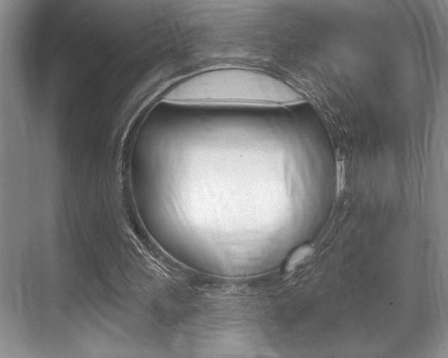 X0000070360243200606090807