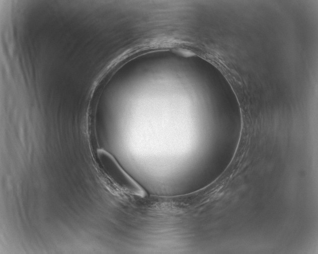 X0000070360244200606090807