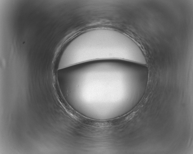 X0000070360245200606090807