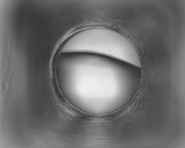 X0000070360246200606090807