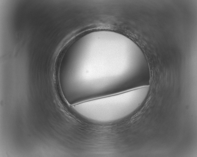 X0000070360247200606090807