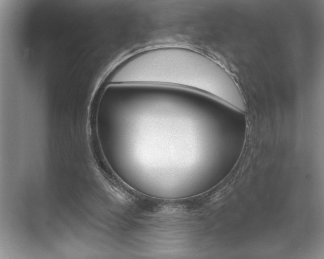 X0000070360248200606090807