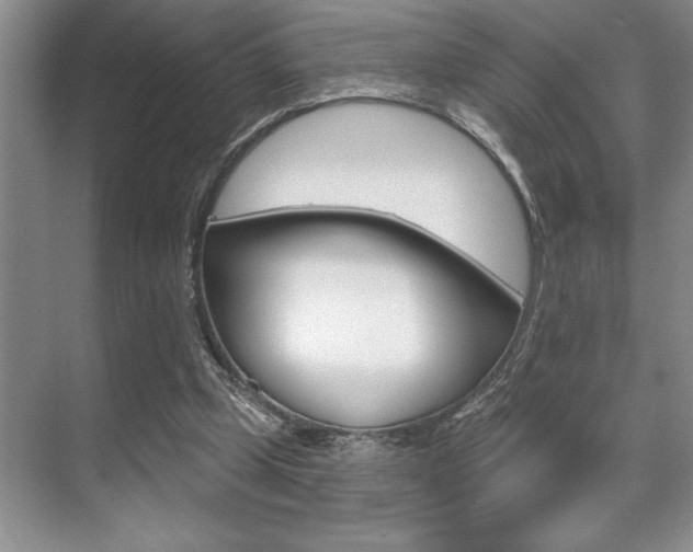 X0000070360249200606090807