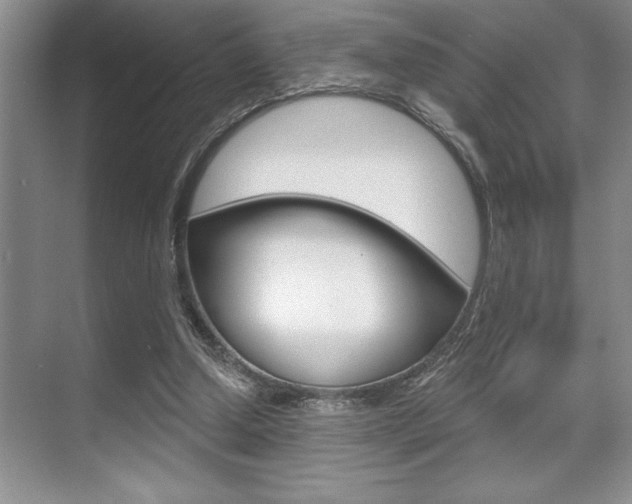 X0000070360250200606090807