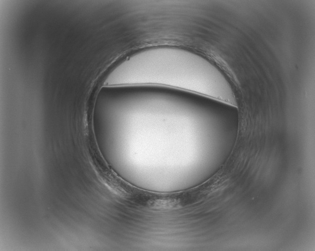 X0000070360251200606090807