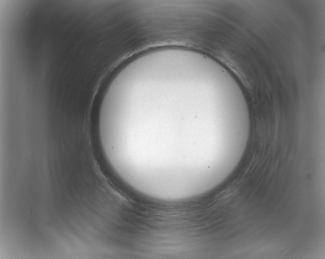 X0000070360252200606090807