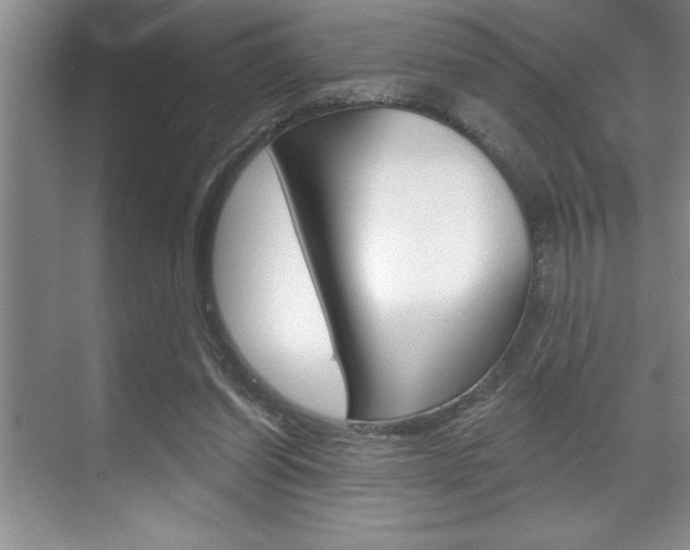 X0000070360254200606090807