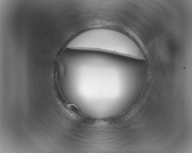 X0000070360257200606090807