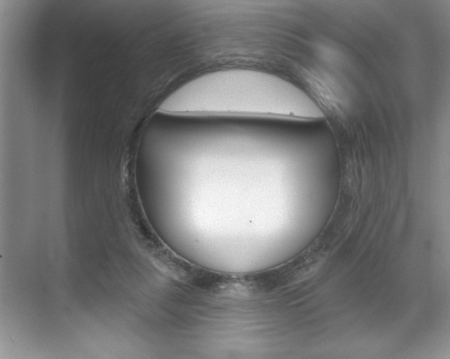 X0000070360259200606090807