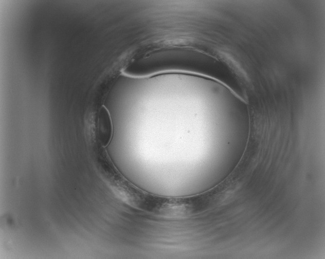 X0000070360260200606090807