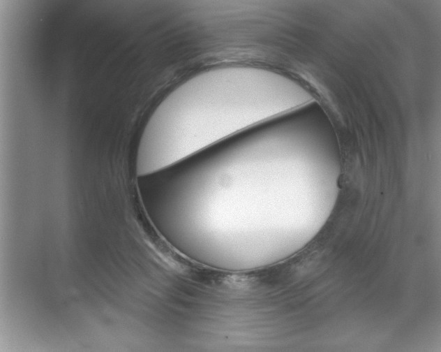 X0000070360261200606090807