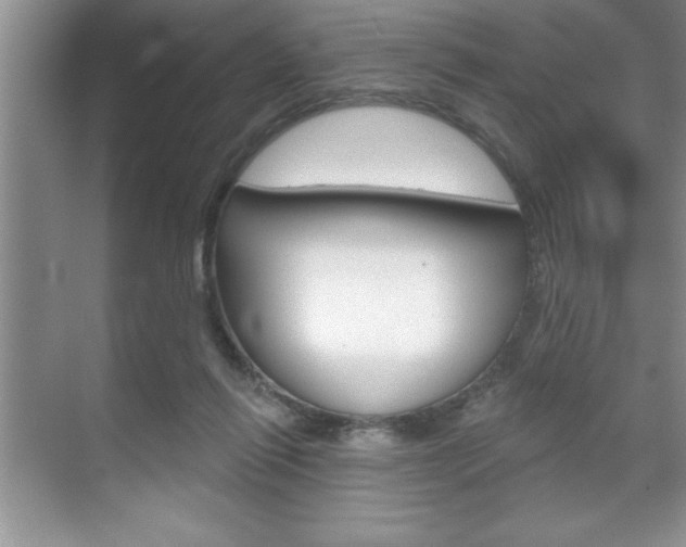 X0000070360262200606090807