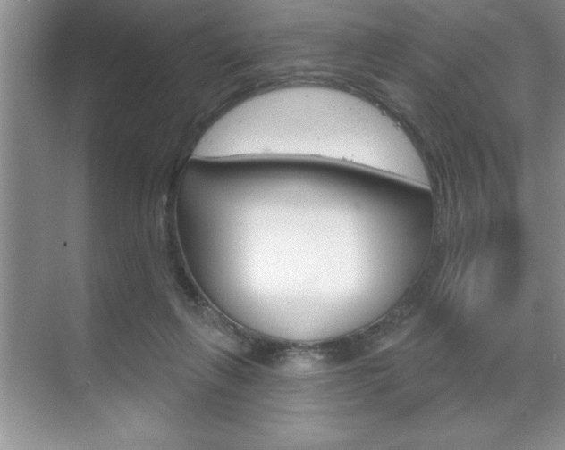 X0000070360263200606090807