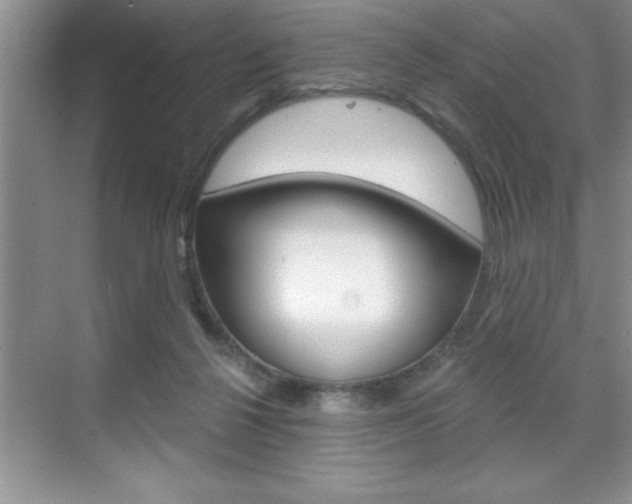 X0000070360264200606090807