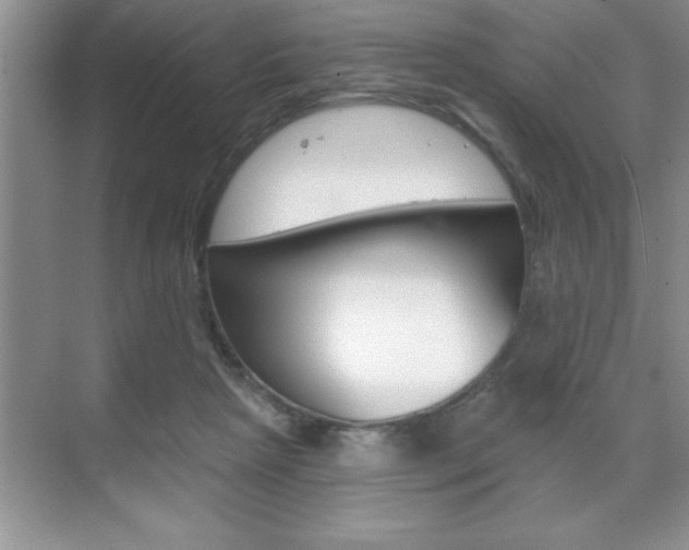 X0000070360265200606090807