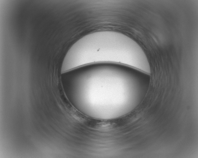 X0000070360267200606090807