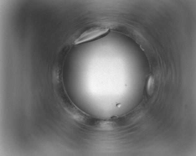 X0000070360268200606090807