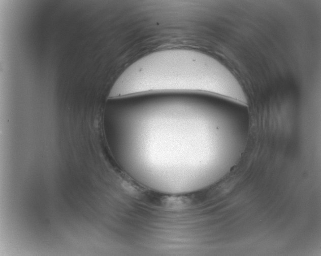 X0000070360277200606090807