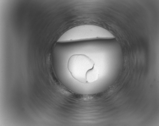 X0000070360278200606090808