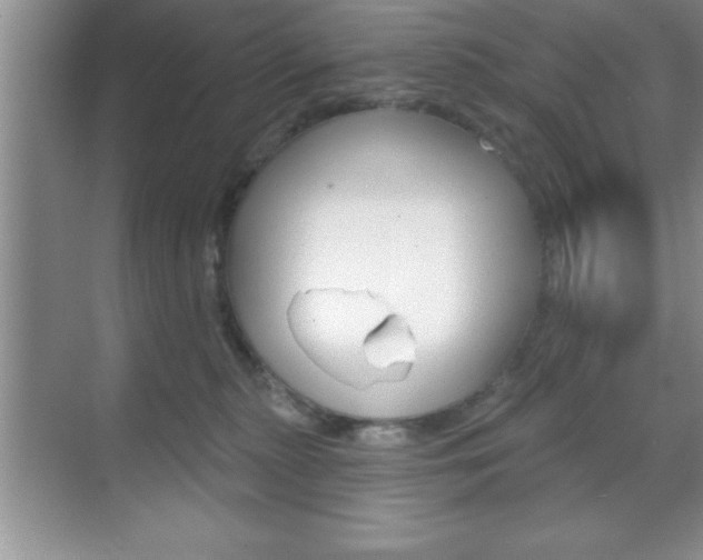 X0000070360279200606090808