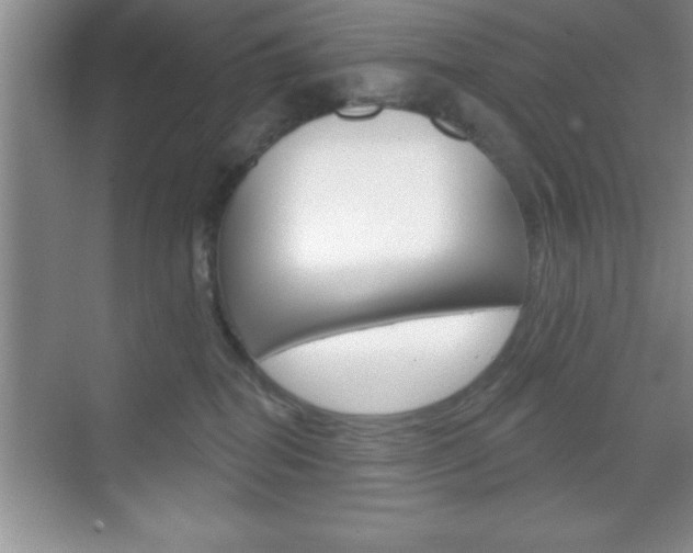 X0000070360282200606090808