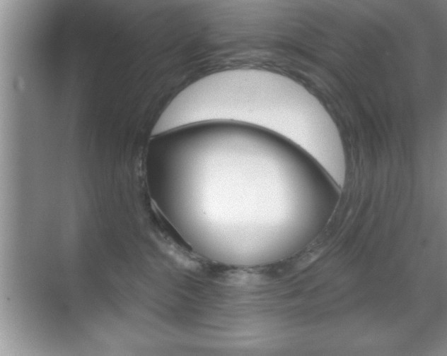 X0000070360284200606090808