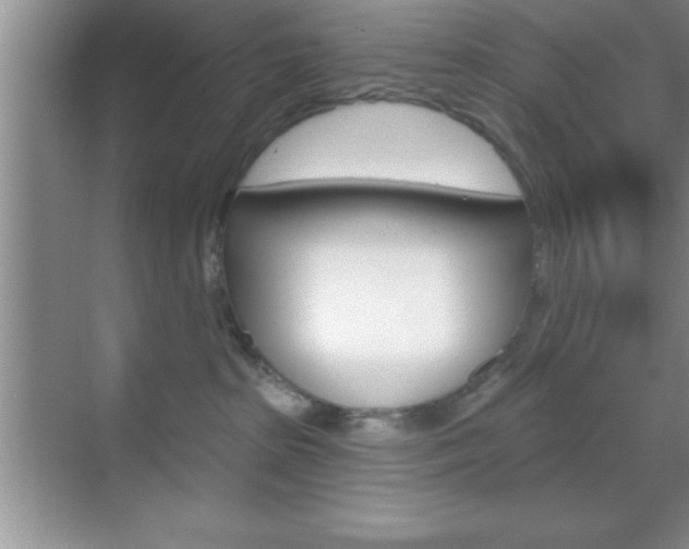 X0000070360285200606090808