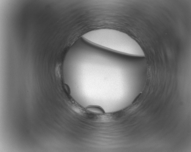 X0000070360286200606090808