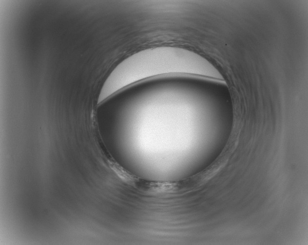 X0000070360288200606090808