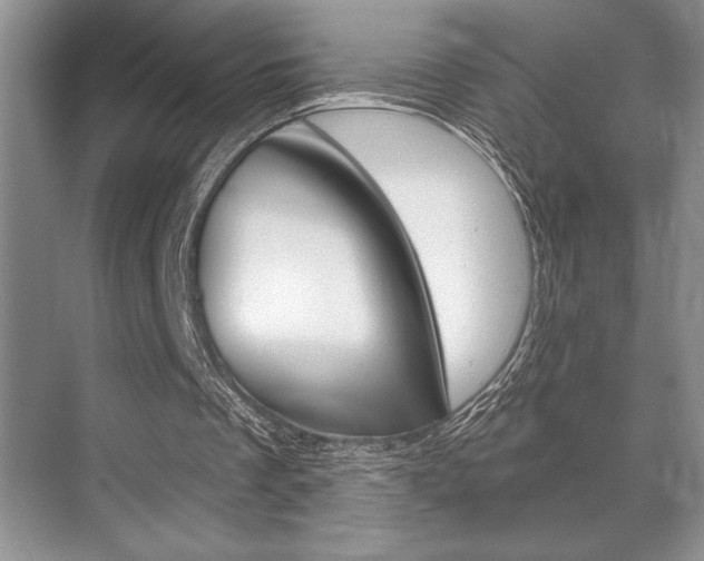 X0000070360289200606090807