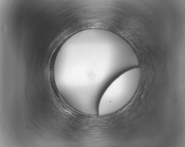 X0000070360290200606090807