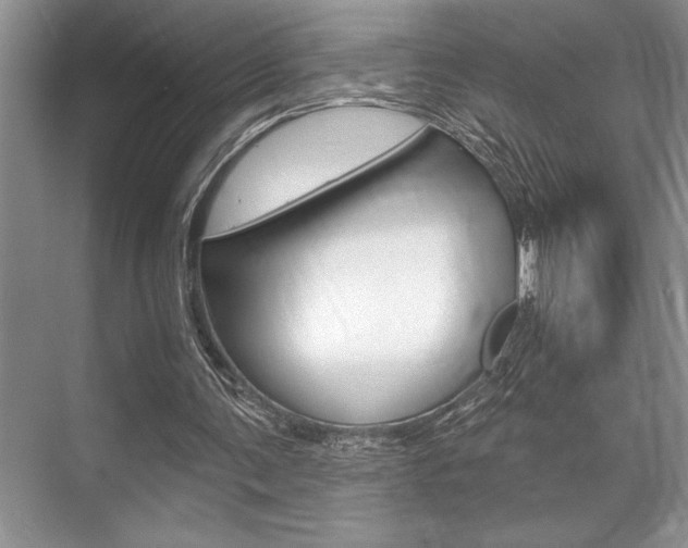 X0000070360291200606090807