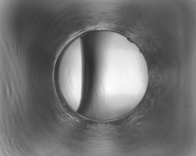 X0000070360292200606090807